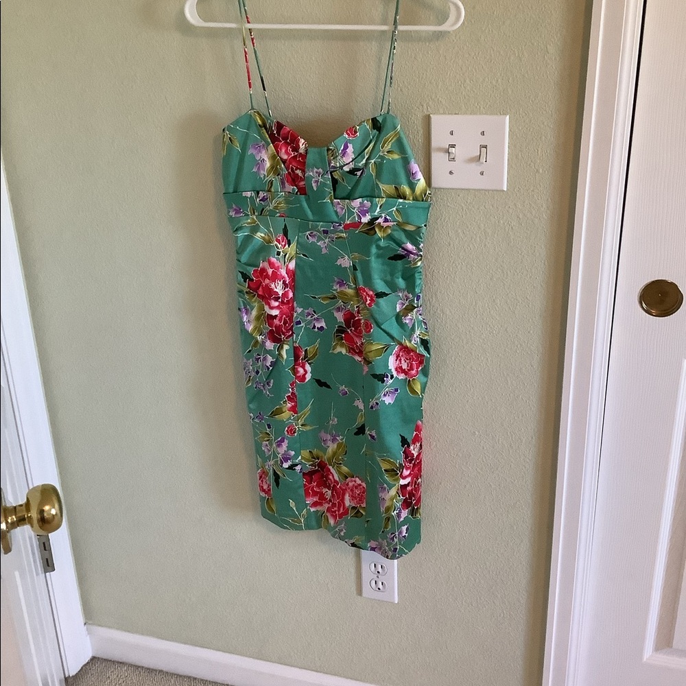 David Meister size 2 dress